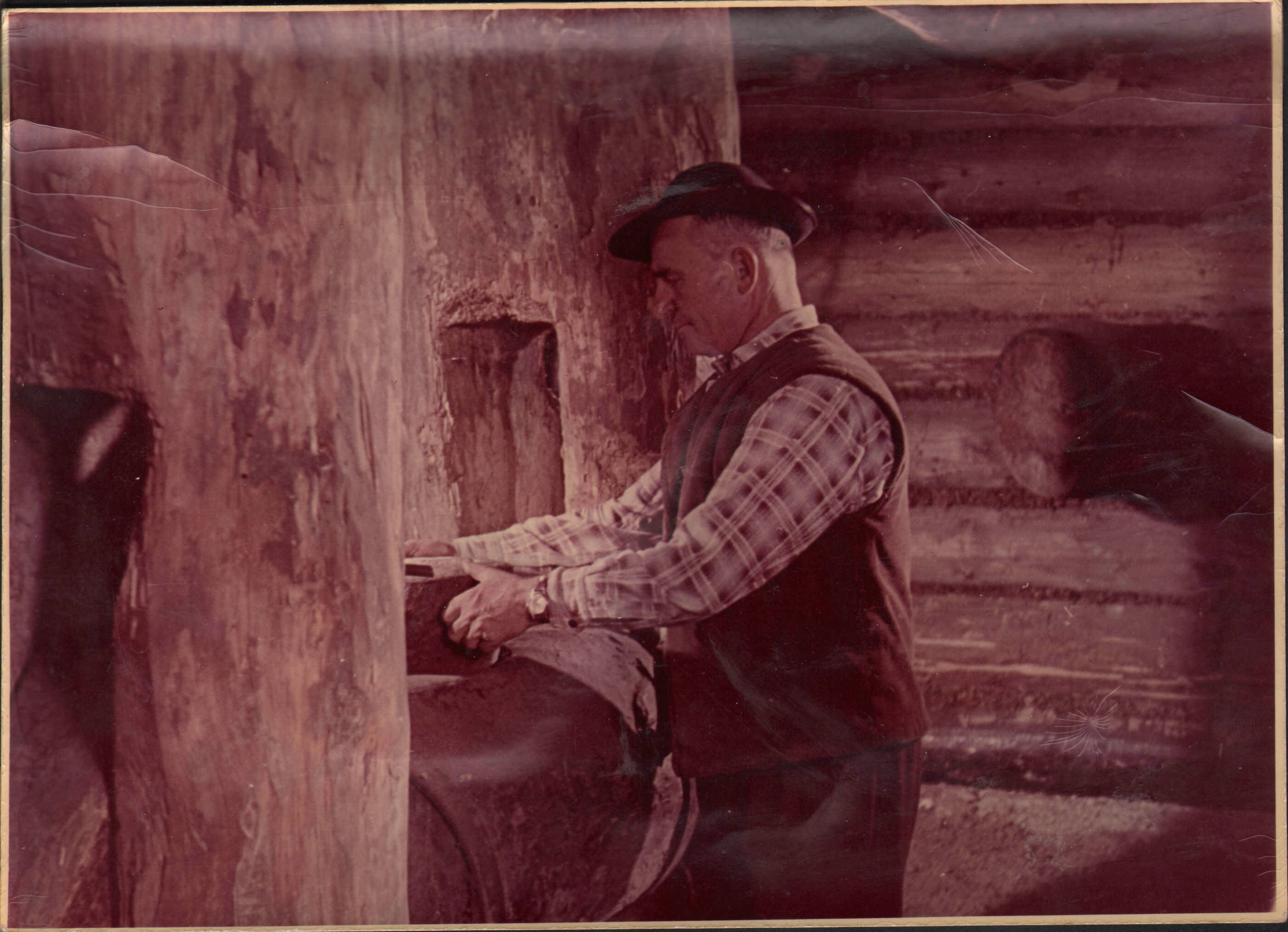 Andrzej Pich ubrany w kapelusz z wąskim rondem, kracistą koszulę i kamizelkę, zajęty pracą przy drewnianym urządzeniu - prasie do tłoczenia oleju lnianego 